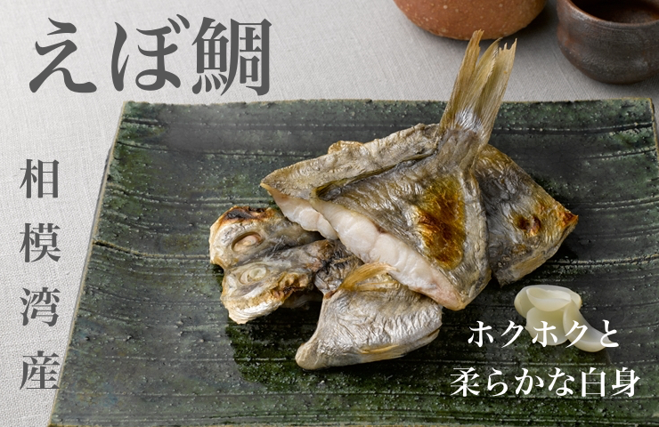 敬老の日特集