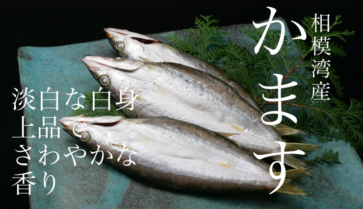 かます干物